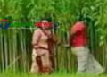 নাগরপুরে গৃহবধূকে কৌশলে পাটক্ষেতে নিয়ে সংঘবদ্ধ ধর্ষণের অভিযোগ
