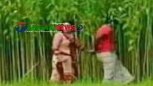নাগরপুরে গৃহবধূকে কৌশলে পাটক্ষেতে নিয়ে সংঘবদ্ধ ধর্ষণের অভিযোগ
