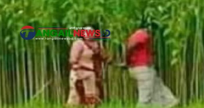 নাগরপুরে গৃহবধূকে কৌশলে পাটক্ষেতে নিয়ে সংঘবদ্ধ ধর্ষণের অভিযোগ
