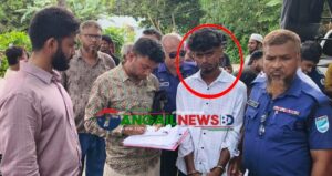বাসাইলে স্কুলছাত্রীকে উত্ত্যক্তের দায়ে নিহাদের কারাদণ্ড