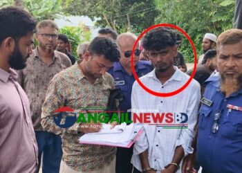 বাসাইলে স্কুলছাত্রীকে উত্ত্যক্তের দায়ে নিহাদের কারাদণ্ড