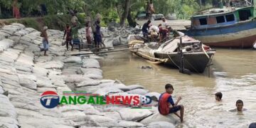 নদী ভাঙনরোধে দেলদুয়ারে জিও ব্যাগে স্থাপনে সড়ক পূণ:নির্মানের ব্যবস্থা