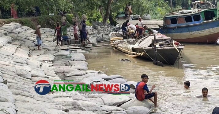 নদী ভাঙনরোধে দেলদুয়ারে জিও ব্যাগে স্থাপনে সড়ক পূণ:নির্মানের ব্যবস্থা