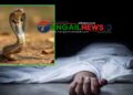 সখীপুরের কালিয়ায় ঘুমন্ত অবস্থায় সাপের কামড়ে গৃহবধূর মৃত্যু