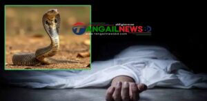 সখীপুরের কালিয়ায় ঘুমন্ত অবস্থায় সাপের কামড়ে গৃহবধূর মৃত্যু