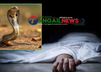 সখীপুরের কালিয়ায় ঘুমন্ত অবস্থায় সাপের কামড়ে গৃহবধূর মৃত্যু