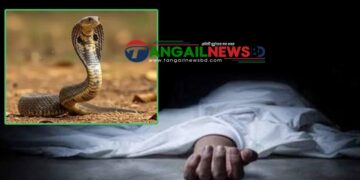 সখীপুরের কালিয়ায় ঘুমন্ত অবস্থায় সাপের কামড়ে গৃহবধূর মৃত্যু