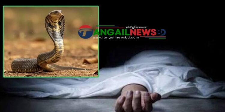 সখীপুরের কালিয়ায় ঘুমন্ত অবস্থায় সাপের কামড়ে গৃহবধূর মৃত্যু