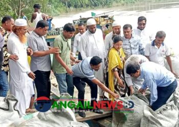 দেলদুয়ারে এলেংজানী নদীর ভাঙ্গন রোধে জিও ব্যাগ স্থাপন