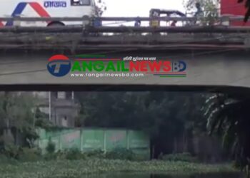 কালিহাতীতে পরিত্যক্ত ডোবার ওপর ১৫ কোটি টাকায় নির্মিত হচ্ছে সেতু