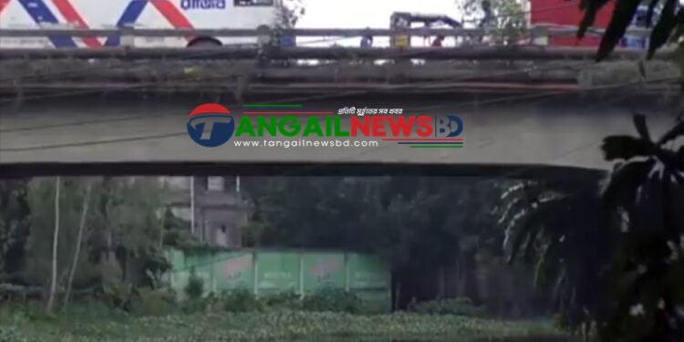 কালিহাতীতে পরিত্যক্ত ডোবার ওপর ১৫ কোটি টাকায় নির্মিত হচ্ছে সেতু