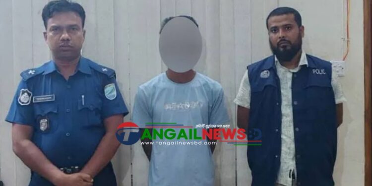 বাসাইলে এক তরুণীকে উত্যক্তের অভিযোগে মারুফের কারাদণ্ড