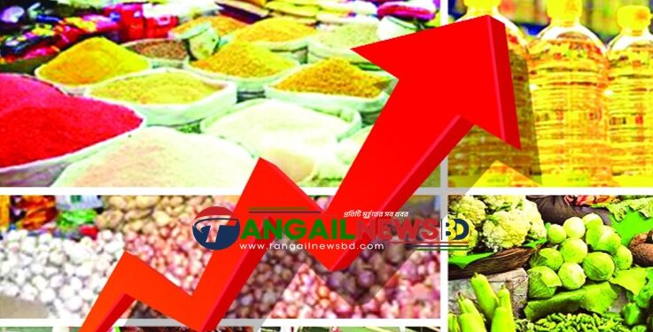 জ্বালানি তেলের দাম বাড়ায় টাঙ্গাইলে নিত্যপণ্যের দাম একের পর এক বাড়ছে