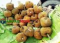 বিলুপ্তির পথে মধুপুর গড়ের ঐতিহ্যবাহী 'চাম্বল' ফল ॥ সংরক্ষণের দাবি