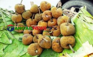 বিলুপ্তির পথে মধুপুর গড়ের ঐতিহ্যবাহী ‘চাম্বল’ ফল ॥ সংরক্ষণের দাবি