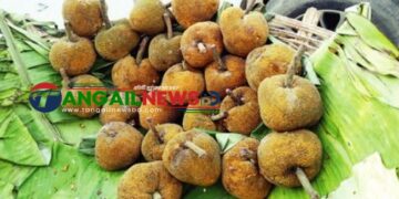 বিলুপ্তির পথে মধুপুর গড়ের ঐতিহ্যবাহী 'চাম্বল' ফল ॥ সংরক্ষণের দাবি