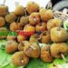 বিলুপ্তির পথে মধুপুর গড়ের ঐতিহ্যবাহী 'চাম্বল' ফল ॥ সংরক্ষণের দাবি