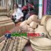 ধনবাড়ীতে বাঁশের তৈজসপত্র বিক্রি করে সংসার চলে পা হারানো চাঁন মিয়ার