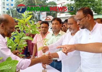 বিএনপির প্রতিষ্ঠাবার্ষিকীতে টাঙ্গাইল শহরে বৃক্ষরোপণ ও চারা বিতরণ