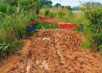 ঘাটাইলের ধলাপাড়ায় এক কিলোমিটার সড়কের বেহাল অবস্থায় চরম ভোগান্তি