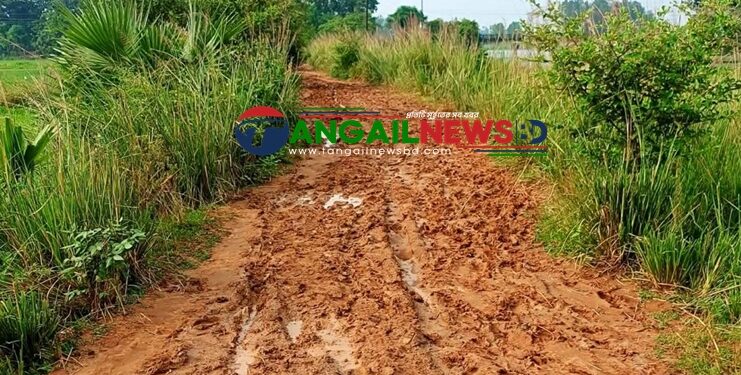 ঘাটাইলের ধলাপাড়ায় এক কিলোমিটার সড়কের বেহাল অবস্থায় চরম ভোগান্তি