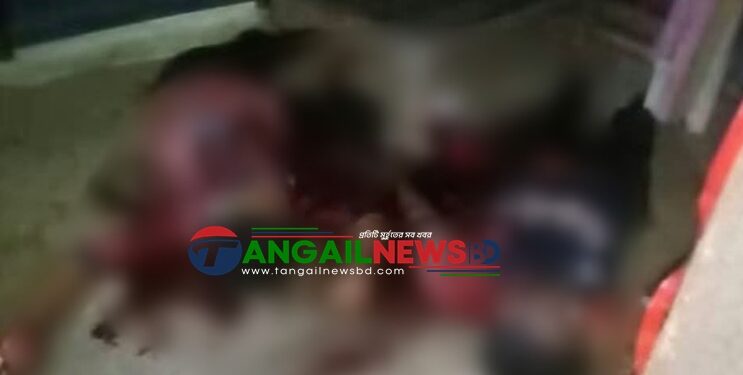 নাগরপুরে স্ত্রীকে কুপিয়ে হত্যার পর শাশুড়ীকে ছুরিকাঘাত ও স্বামীর আত্মহত্যার চেষ্টা
