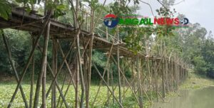 একটি সেতুর অভাবে নাগরপুরের ভাদ্রায় ২২ গ্রামের মানুষের দুর্ভোগ চরমে