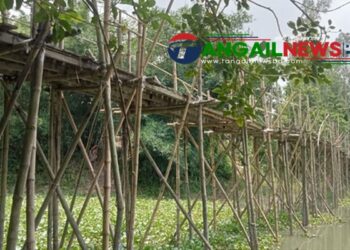 একটি সেতুর অভাবে নাগরপুরের ভাদ্রায় ২২ গ্রামের মানুষের দুর্ভোগ চরমে