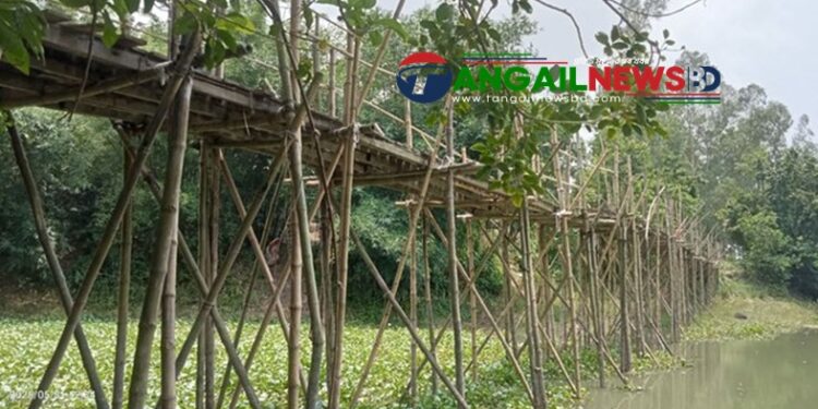 একটি সেতুর অভাবে নাগরপুরের ভাদ্রায় ২২ গ্রামের মানুষের দুর্ভোগ চরমে