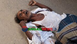 কালিহাতী, সখীপুর ও মধুপুরে সড়ক দুর্ঘটনায় শিশুসহ ৩ জন নিহত