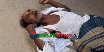 কালিহাতী ও সখীপুরে সড়ক দুর্ঘটনায় ২ জন নিহত