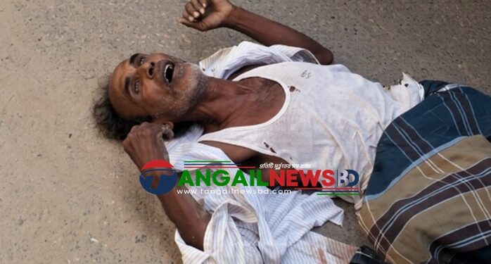 কালিহাতী ও সখীপুরে সড়ক দুর্ঘটনায় ২ জন নিহত