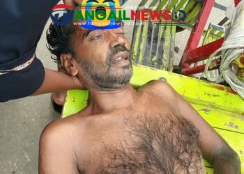 কালিহাতীতে ব্রিজের ঢালে লাকড়িবোঝাই ঠেলাগাড়ি উল্টে চালক নিহত