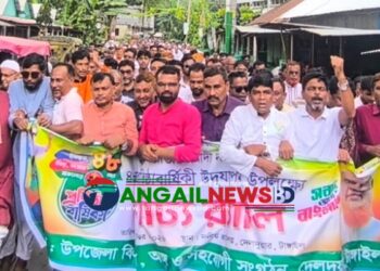 দেলদুয়ারে বিএনপির ৪৮তম প্রতিষ্ঠাবার্ষিকী পালিত