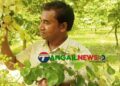 সখীপুরে প্রায় ৫০ একর জমিতে মোসলেম গড়ে তুলেছেন বরইয়ের বাগান
