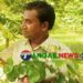 সখীপুরে প্রায় ৫০ একর জমিতে মোসলেম গড়ে তুলেছেন বরইয়ের বাগান