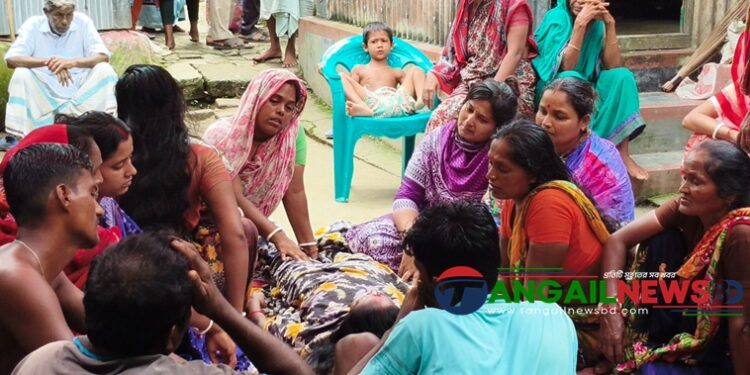 বাসাইলে প্রাতর্ভ্রমণে গিয়ে মোটরসাইকেলের ধাক্কায় নারী নিহত