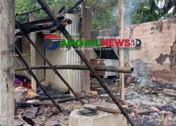 মধুপুরে সম্পত্তির দাবিতে দাদা-দাদির ঘরে আগুন দিলো নাতি