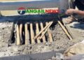 বাসাইলে দশ কোটি টাকার সেতুতে রডের বদলে বাঁশ দিয়ে ঢালাই