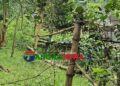 মির্জাপুরের আজগানায় যুবদল নেতার বিরুদ্ধে জমি দখল চেষ্টার অভিযোগ!