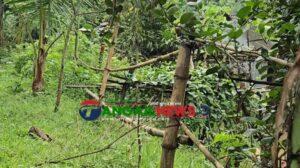 মির্জাপুরের আজগানায় যুবদল নেতার বিরুদ্ধে জমি দখল চেষ্টার অভিযোগ!