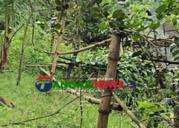 মির্জাপুরের আজগানায় যুবদল নেতার বিরুদ্ধে জমি দখল চেষ্টার অভিযোগ!