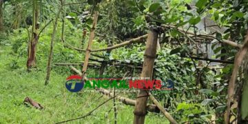 মির্জাপুরের আজগানায় যুবদল নেতার বিরুদ্ধে জমি দখল চেষ্টার অভিযোগ!