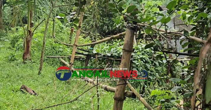 মির্জাপুরের আজগানায় যুবদল নেতার বিরুদ্ধে জমি দখল চেষ্টার অভিযোগ!