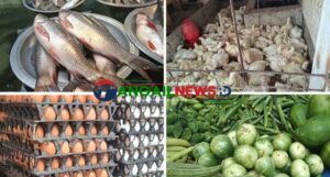 টাঙ্গাইলের বাজারে চড়া দামে বিক্রি হচ্ছে ডিম-মাছ-মুরগি ॥ কিছুটা স্বস্তি সবজিতে