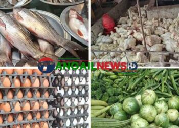 টাঙ্গাইলের বাজারে চড়া দামে বিক্রি হচ্ছে ডিম-মাছ-মুরগি ॥ কিছুটা স্বস্তি সবজিতে