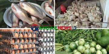 টাঙ্গাইলের বাজারে চড়া দামে বিক্রি হচ্ছে ডিম-মাছ-মুরগি ॥ কিছুটা স্বস্তি সবজিতে