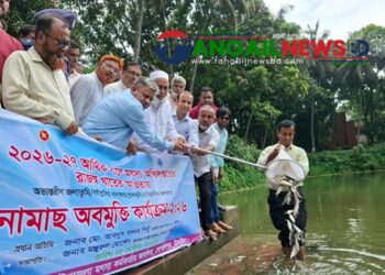 গোপালপুরে মাছের পোনা অবমুক্ত কার্যক্রম উদ্বোধন করলেন এমপি সালাম পিন্টু