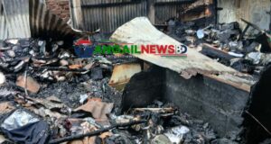 নাগরপুর বাজারে ভয়াবহ অগ্নিকান্ডে প্রায় দেড় কোটি টাকার ক্ষয়ক্ষতি