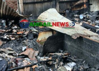 নাগরপুর বাজারে ভয়াবহ অগ্নিকান্ডে প্রায় দেড় কোটি টাকার ক্ষয়ক্ষতি